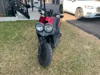 Scooter 4 temps