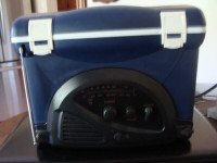 Mini Radio Cooler