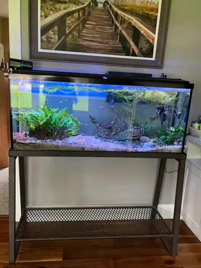 Aquarium 55 Gallon with Stand., View more