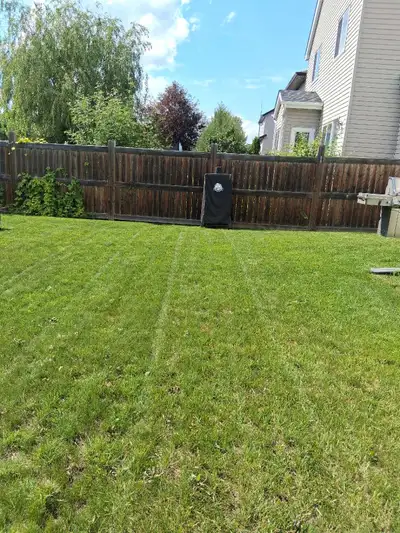 Grass Service., View more