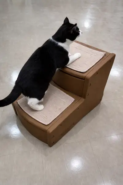 Pet Stairs for small Dogs or Cats, View more