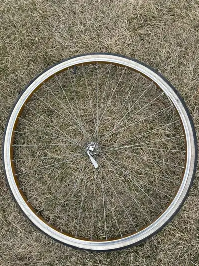 Schwalbe Puncture Protection Bicycle Tire, View more