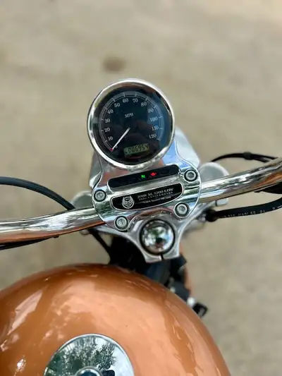 Like new 105 anniversary, Sportster 1200 low. Mini bags and quick detach windshield included Beautif...