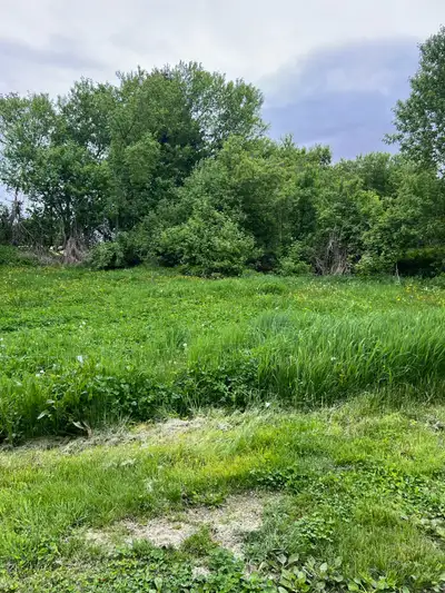 Lot for rent