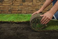 Build Your Dream Yard: Start with Sod