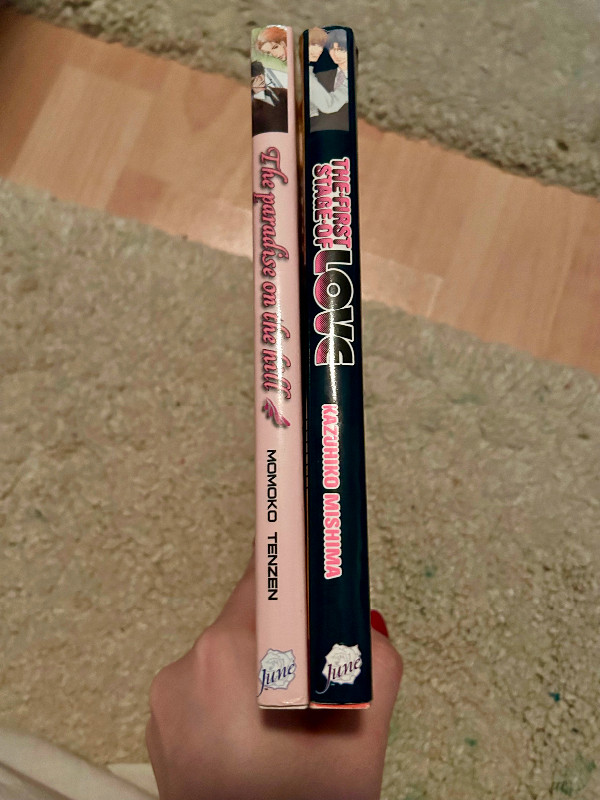 Yaoi Manga Bundle in Comics & Graphic Novels in Ottawa - Image 4
