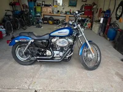 2009 Harley Davidson Sportster 1200XL Custom. Only 16,500 kms, fuel injection, 2 keys and fobs. New...
