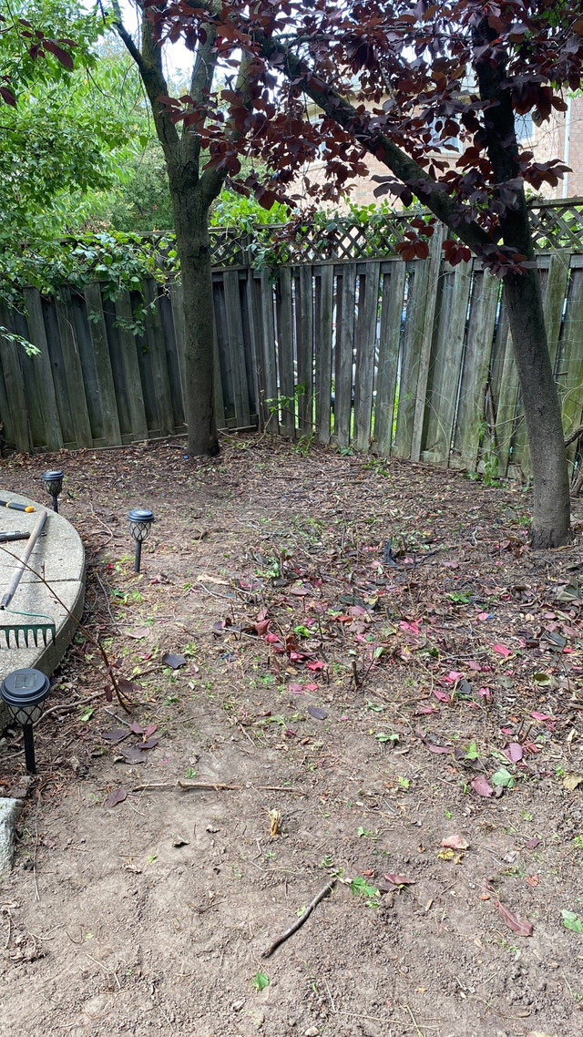 if someone need MOVERS  let me know. We do lawn care too landsca in General Labour in Mississauga / Peel Region - Image 4