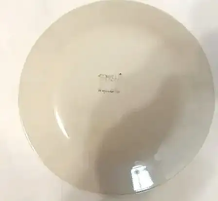 2 CORELLE GLASS PLATES FROM USA587820050154803201
