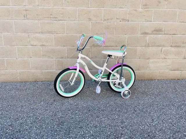 Training Wheel Bicycle 16” for Girls BRAND NEW IN BOX in Kids in Oshawa / Durham Region - Image 3