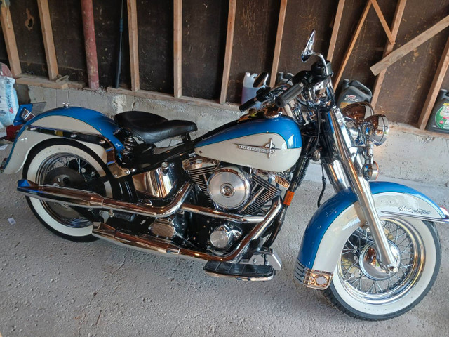 1996 Harley Davidson  F.LS.T.N with many many extras. in Street, Cruisers & Choppers in City of Toronto - Image 4