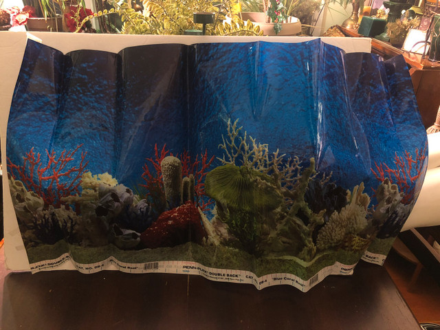 Aquarium Background. 19” High X 37” Long.  in Accessories in Edmonton