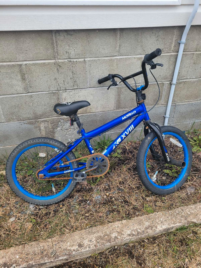 Boys 16 inch bike in Kids in Gander