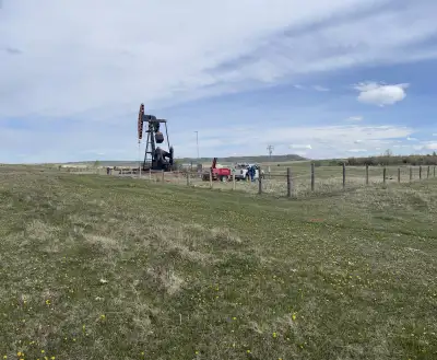 Bakker Fencing and Oilfield Services Ltd, View more