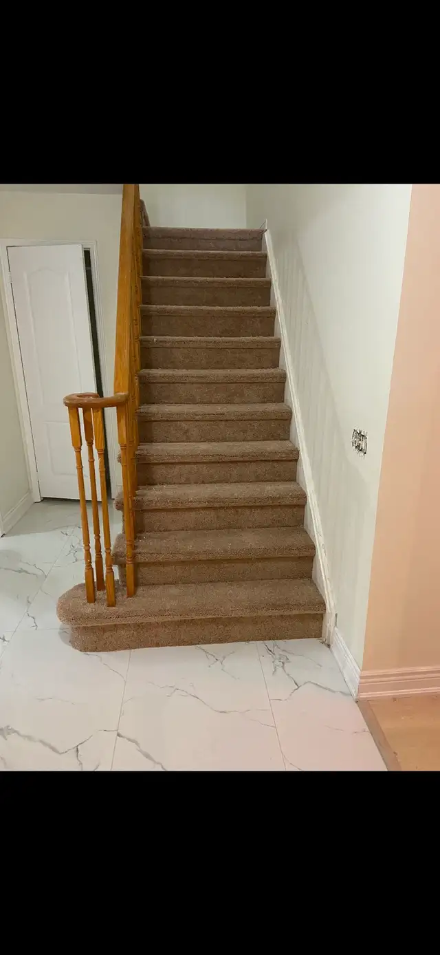 CARPET INSTALLATION since 198665192922964099127