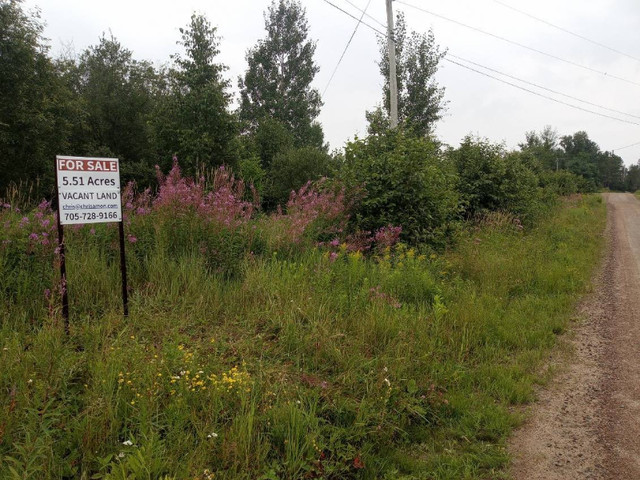 REDUCED 20k 5.51 Acre Vacant Building Lot 7 mins from Mattawa in Land for Sale in Petawawa