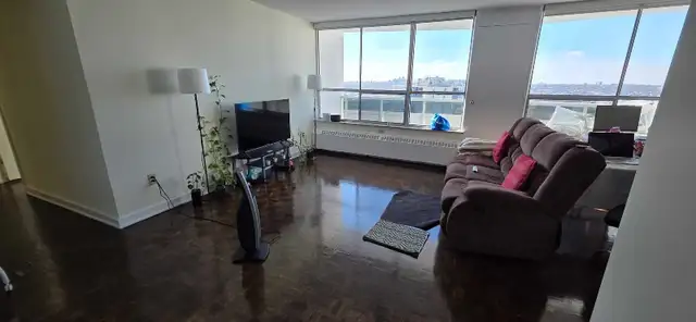 Looking for a Boy or Girl