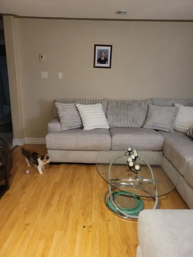 Brand New Sectional need gone asap  price is negotiable in Couches & Futons in Dartmouth - Image 3