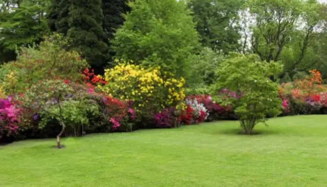 Landscaping, Tree Service, Paver, Fence, Snow removal62865710296067122