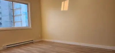 Completely renovated big 4 ½ apartment semi-furnished or unfurnished for rent. -introducing our spac...