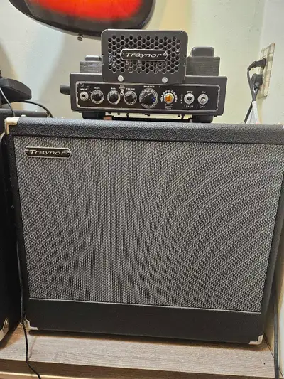 Traynor Darkhorse Amp Head and Cabinet, View more