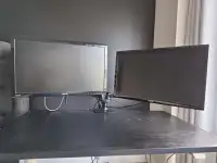 Dual Monitors and Stand