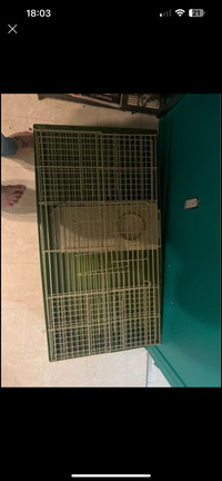 Cage a petit animaux