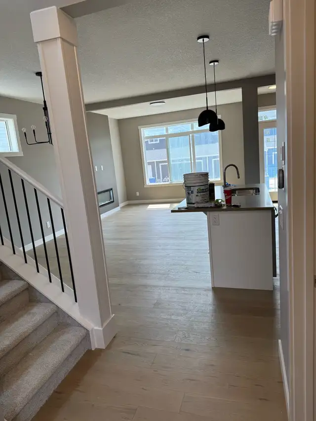 Professional Painter505382055162030086
