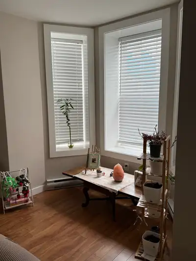 Looking for a roommate preferably female. Main St, Kentville 7mins walk to downtown kentville Furnis...