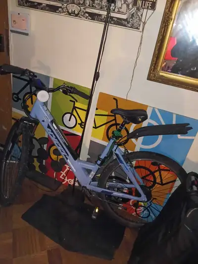 I'm selling a 36v Hyper electric bike with paddle assist, perfect for getting around town or enjoyin...