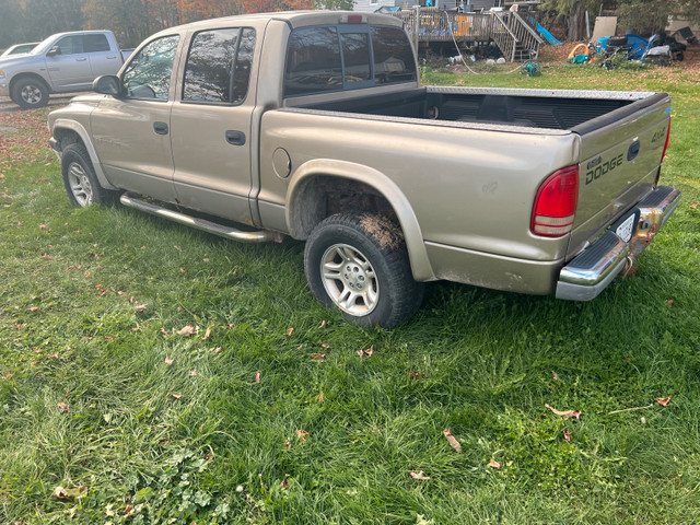 2001 dodge Dakota  in Cars & Trucks in Barrie - Image 2