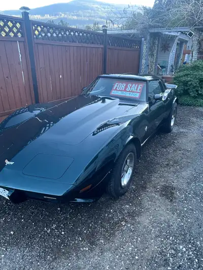 1979 Corvette stingray T bar roof, baby moon hubcaps. Lady driven,always under cover and properly st...