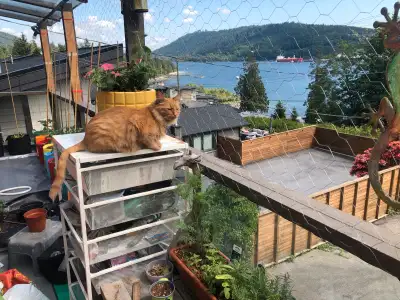 Room in shared house with amazing view of Burrard In