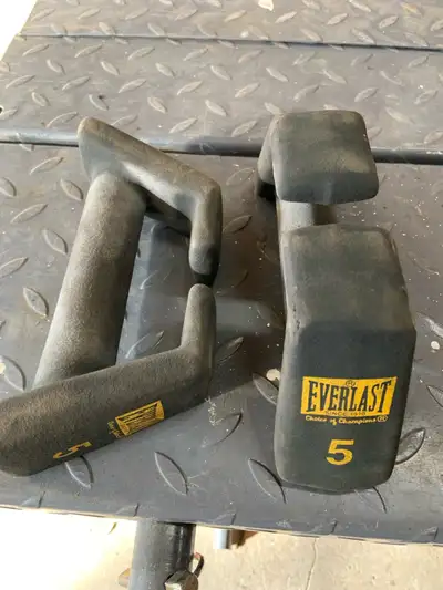 Everlast 5lb Dumbbells - P/U in Innisfail, View more