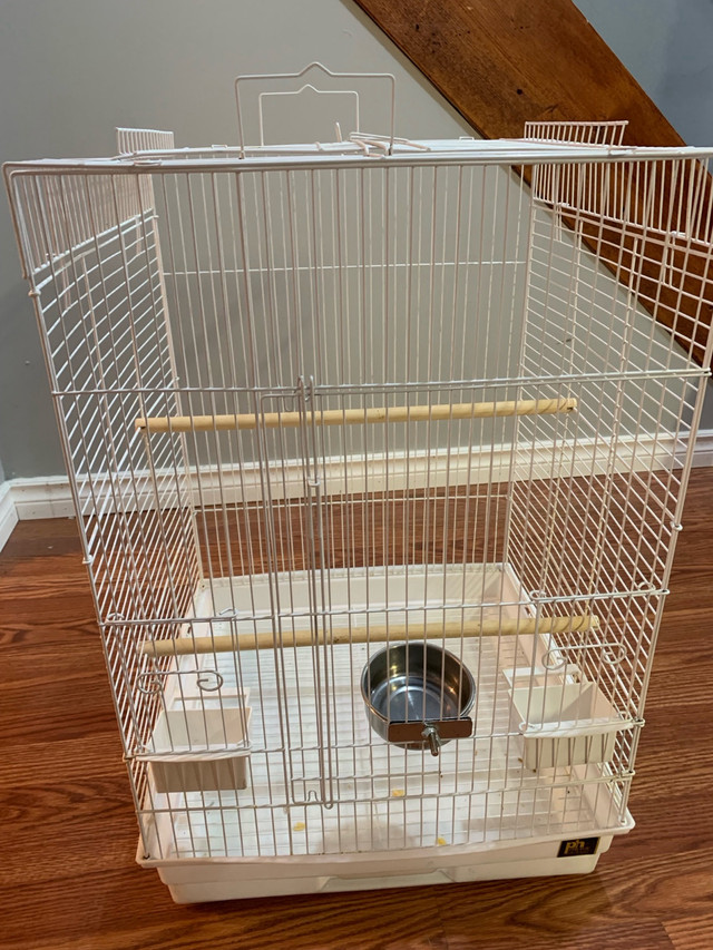 Big two cage for Cockatiels or Cockatoos  in Other in Hamilton