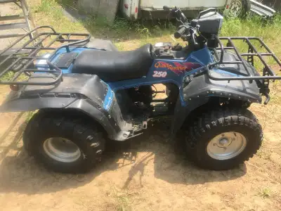 1993 Suzuki 250 cc quad runner 2WD. Electric start,high low range, 2 new rear shocks. Fires right up...
