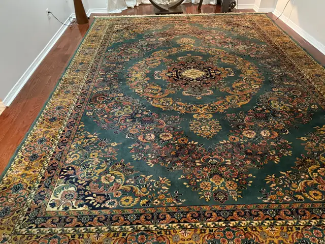 Area Rug, Large, Beautiful in Rugs, Carpets & Runners in Ottawa - Image 4