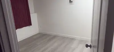 Female Roommate Wanted