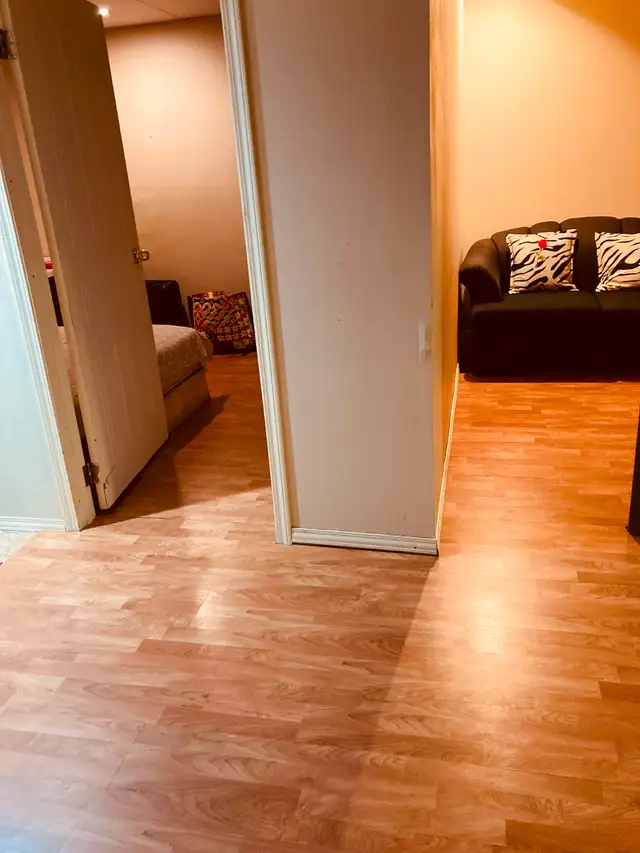 EdgemontNW walkup basement incl utility share bath1guy sep entry62864754402305121