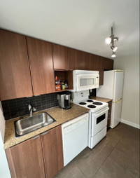 Gorgeous 1 Bedroom - Downtown