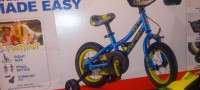 Schwinn 12 inch bike 