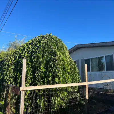 Prime Opportunity in Campbell River's growing neighbourhood! Introducing this .39-acre RM2-zoned par...