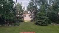 Waterfront secluded cabin for rent at Brightsand Lake