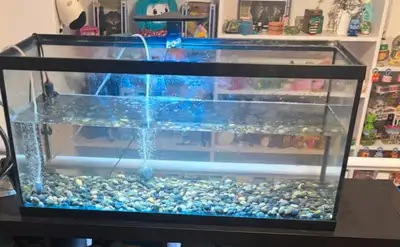 River rocks included worth $100, light blue and white for plants value $65, bubbler included and hea...