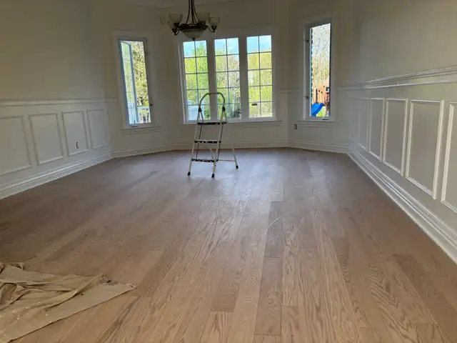 painting 528035904048353281