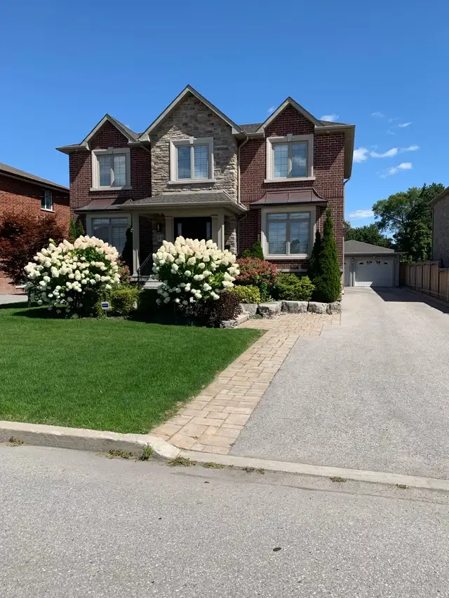 Basement apartment for rent in Long Term Rentals in City of Toronto - Image 2