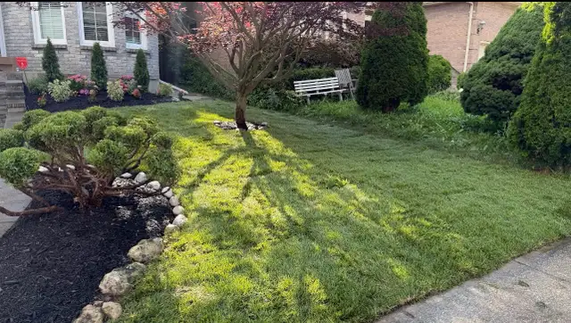 Fresh Sod Installation & Lawn Restoration