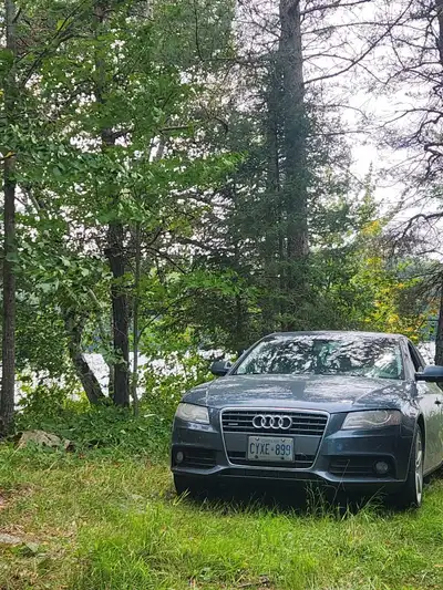 2011 Audi a4 quattro 2.0t Has a awe touring edition exhaust system (not too loud but gives her a bit...