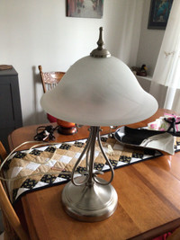 Brushed nickel lamp