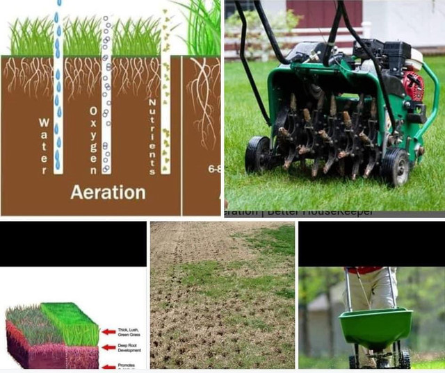 Core aeration! Spring clean up  in Lawnmowers & Leaf Blowers in La Ronge